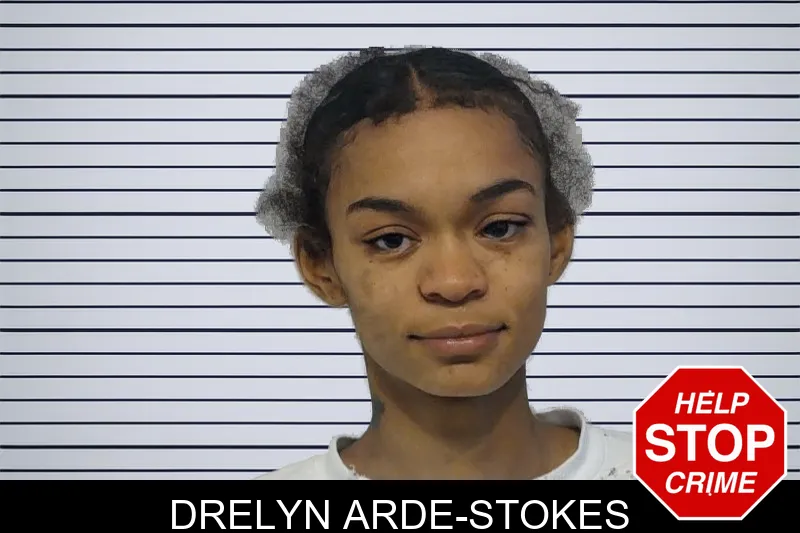 Drelyn Arde-Stokes mugshot – Bibb County , Georgia Drelyn Arde-Stokes mugshot