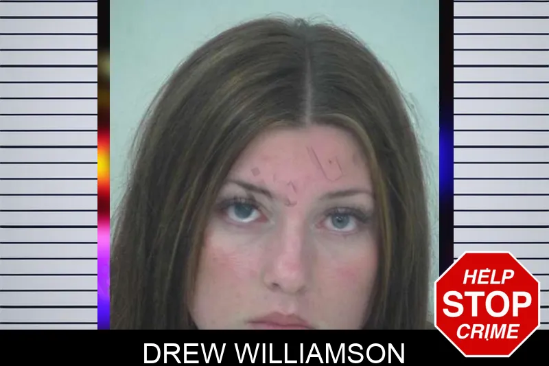 Drew Williamson mugshot – Fayette County , Georgia Drew Williamson mugshot
