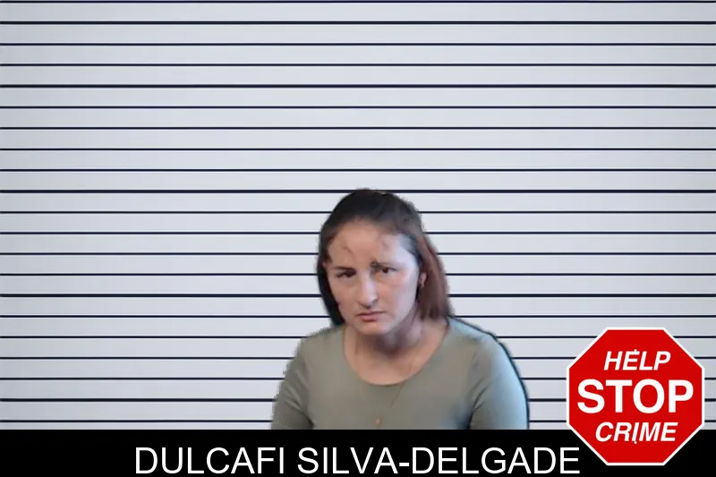 Dulcafi Silva-Delgade mugshot – DeKalb County , Georgia Dulcafi Silva-Delgade mugshot