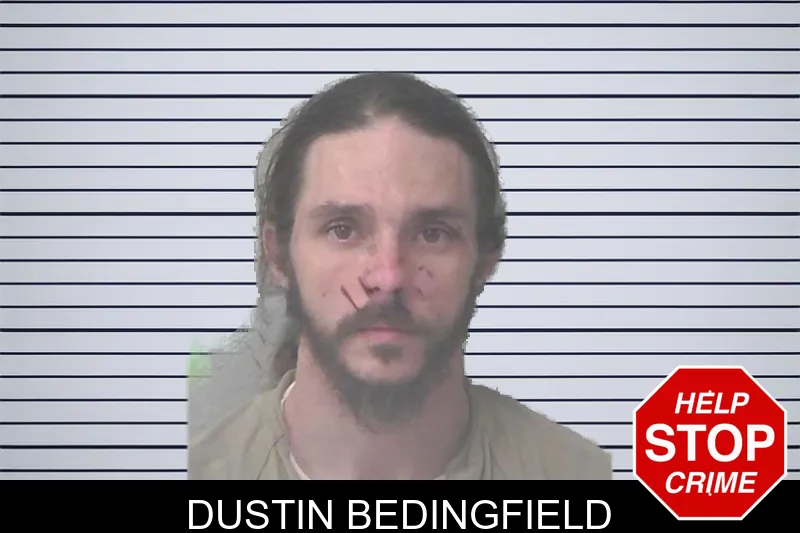 Dustin Bedingfield mugshot