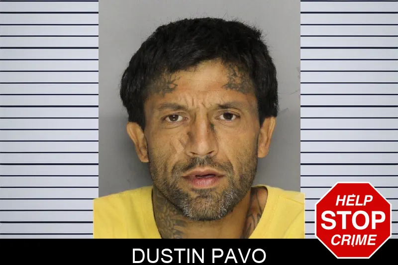 Dustin Pavo mugshot – Cobb County , Georgia Dustin Pavo mugshot