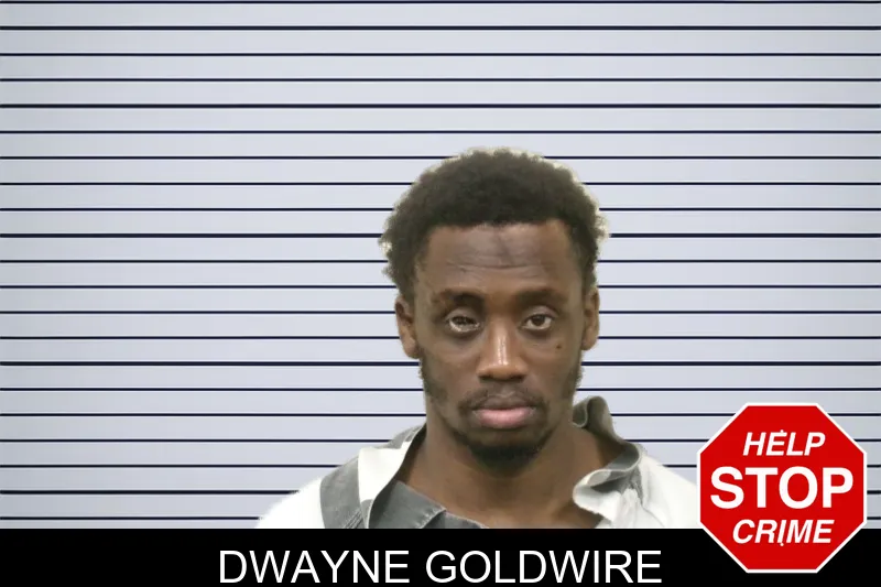 Dwayne Goldwire mugshot – Bulloch County , Georgia Dwayne Goldwire mugshot