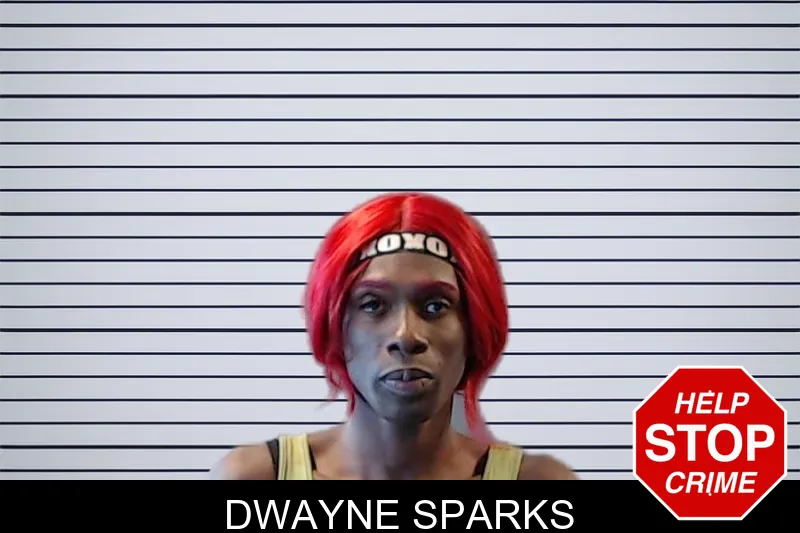 Dwayne Sparks mugshot