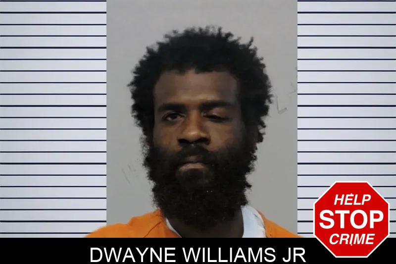Dwayne Williams Jr mugshot – Bibb County , Georgia Dwayne Williams Jr mugshot