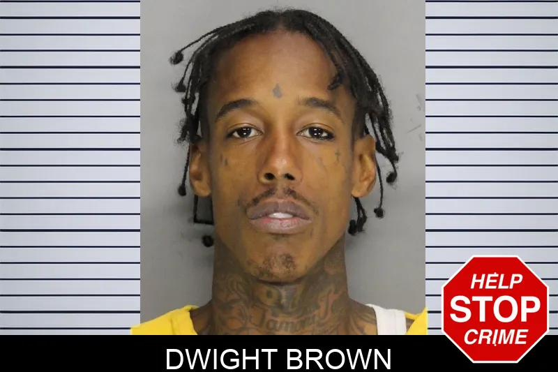Dwight Brown mugshot – Cobb County , Georgia Dwight Brown mugshot