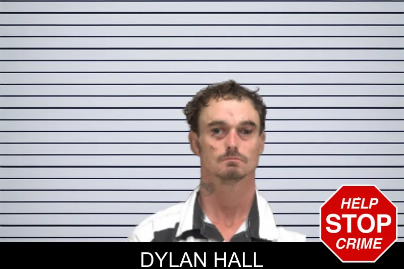 Dylan Hall mugshot