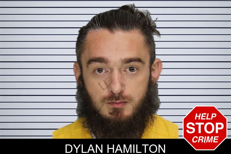 Dylan Hamilton mugshot