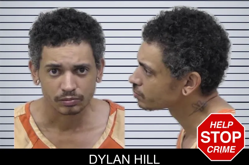 Dylan Hill mugshot – Paulding County , Georgia Dylan Hill mugshot