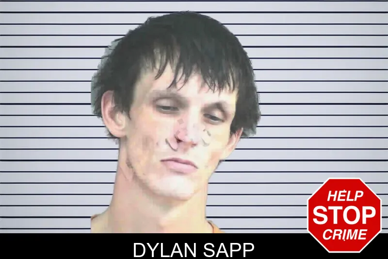 Dylan Sapp mugshot – Mitchell County , Georgia Dylan Sapp mugshot