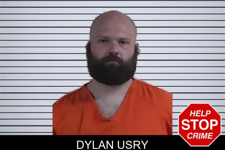 Dylan Usry mugshot – Fannin County , Georgia Dylan Usry