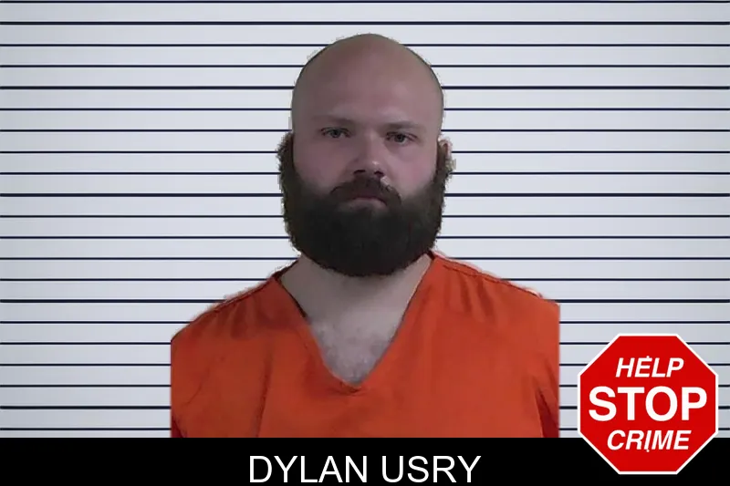 Dylan Usry mugshot – Fannin County , Georgia Dylan Usry mugshot