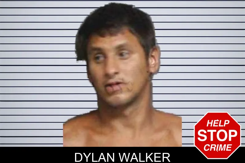 Dylan Walker mugshot
