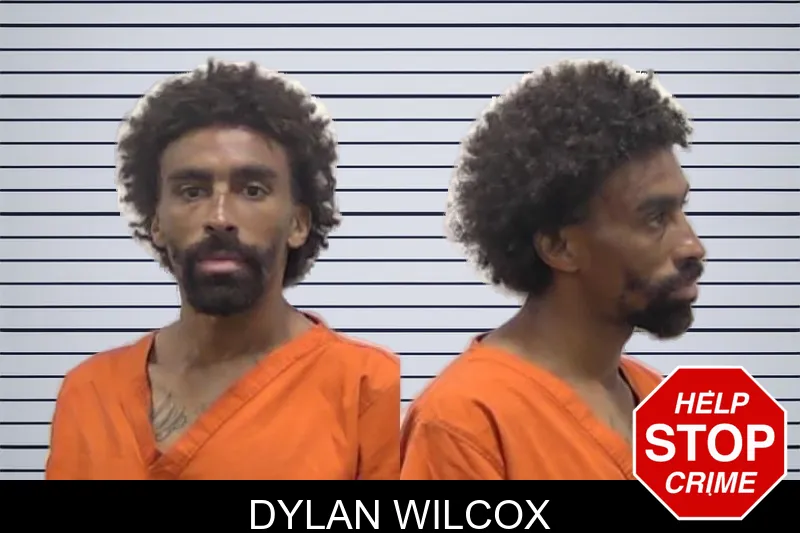 Dylan Wilcox mugshot – Clarke County , Georgia Dylan Wilcox mugshot