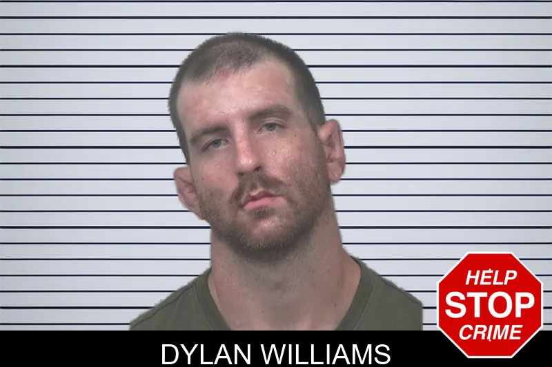 Dylan Williams mugshot – Gwinnett County , Georgia Dylan Williams mugshot