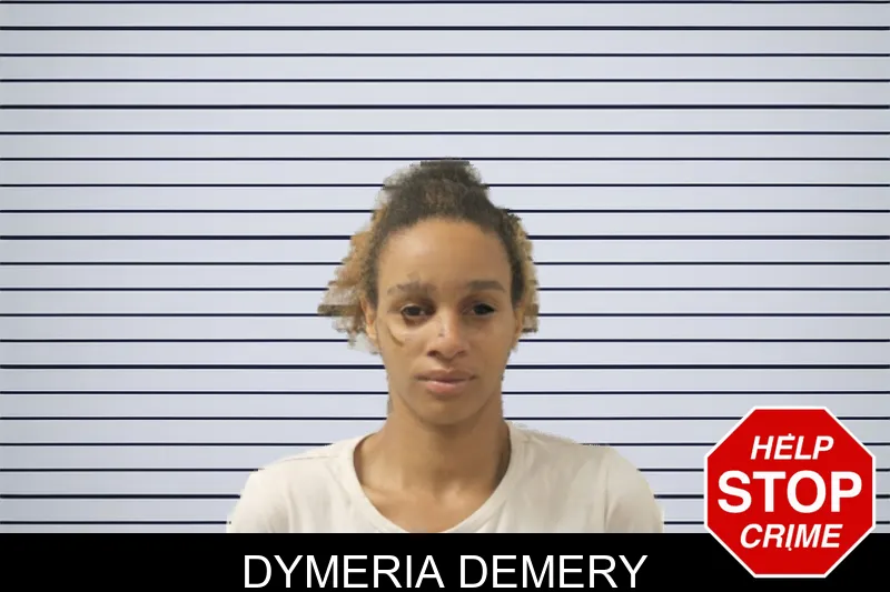 Dymeria Demery mugshot – Toombs County , Georgia Dymeria Demery mugshot