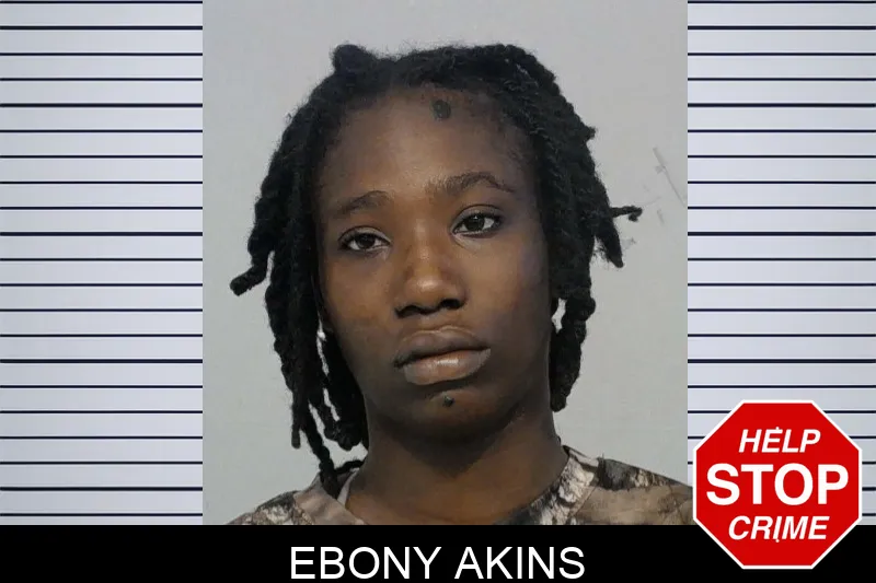 Ebony Akins mugshot – Bibb County , Georgia Ebony Akins mugshot