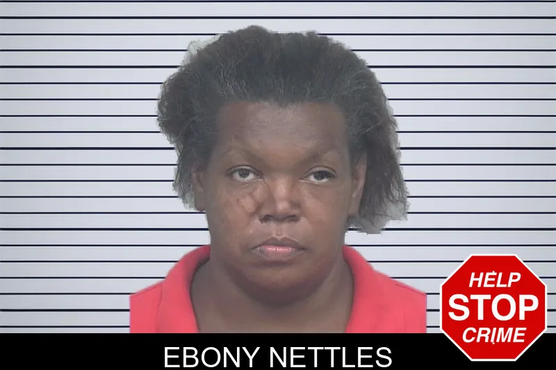 Ebony Nettles mugshot – Gwinnett County , Georgia Ebony Nettles mugshot