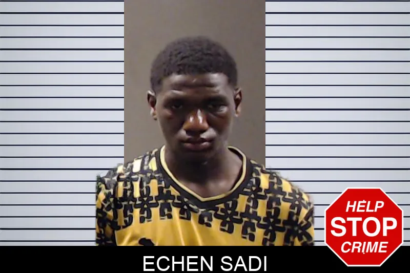 Echen Sadi mugshot – DeKalb County , Georgia Echen Sadi mugshot