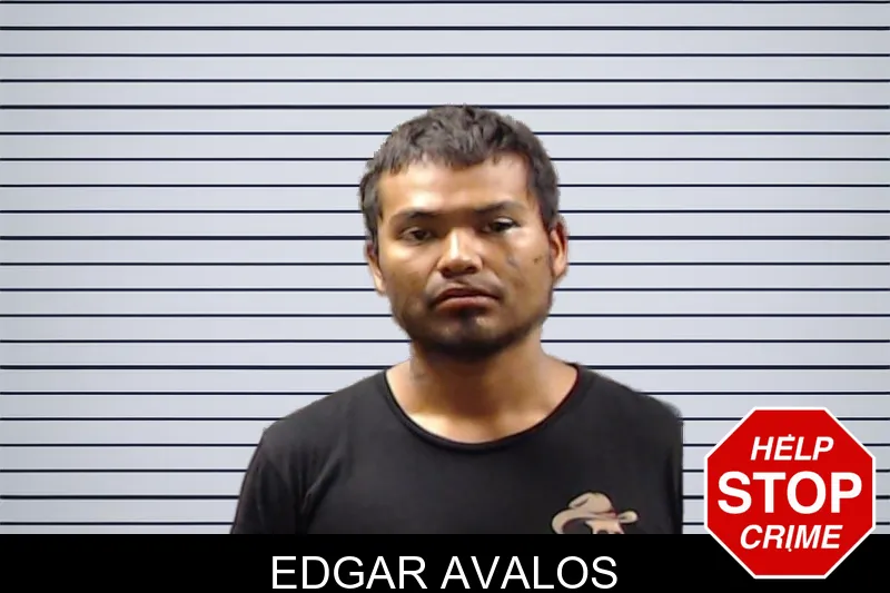 Edgar Avalos mugshot – DeKalb County , Georgia Edgar Avalos mugshot