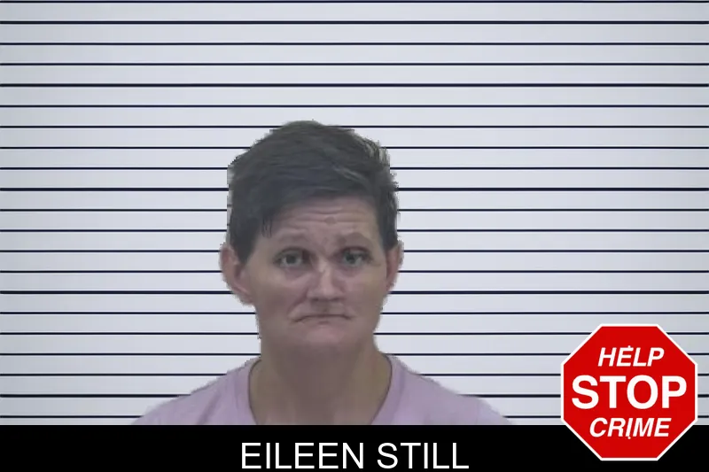 Eileen Still mugshot – Coffee County , Georgia Eileen Still mugshot