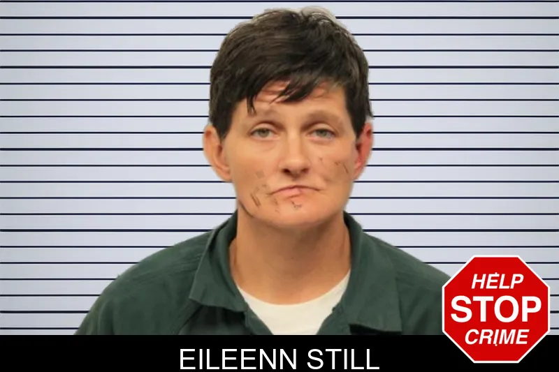 Eileenn Still mugshot – Chatham County , Georgia Eileenn Still mugshot