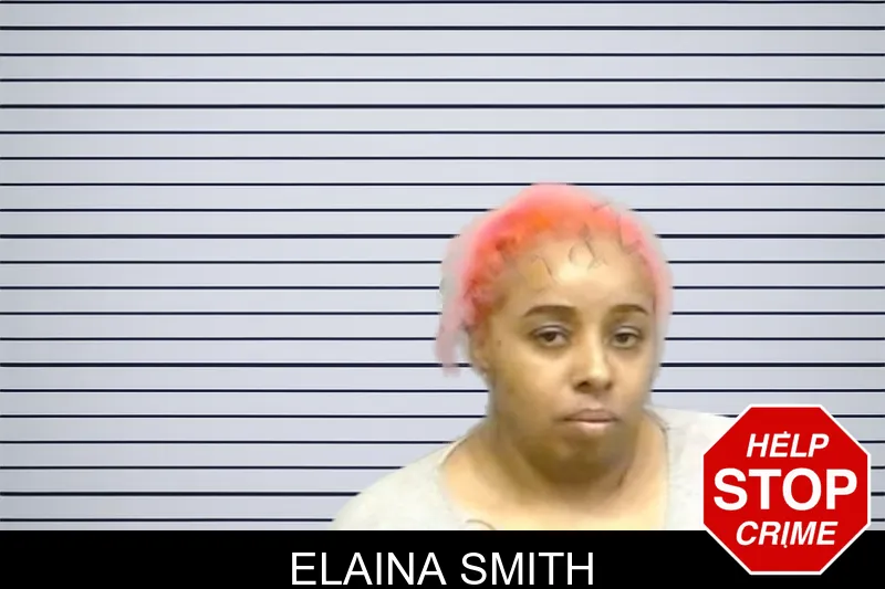 Elaina Smith mugshot – Fulton County , Georgia Elaina Smith mugshot