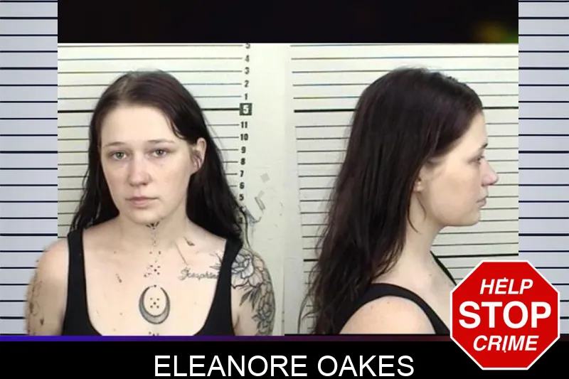 Eleanore Oakes mugshot – Camden County , Georgia Eleanore Oakes mugshot