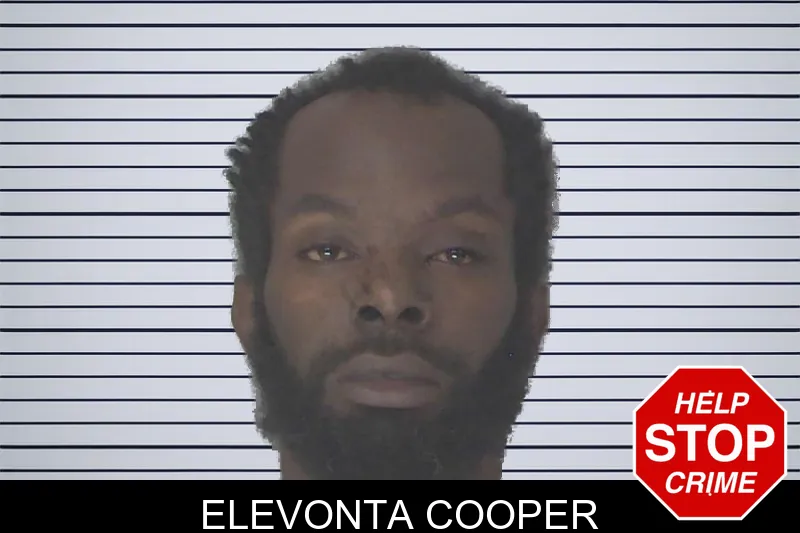 Elevonta Cooper mugshot – Douglas County , Georgia Elevonta Cooper mugshot