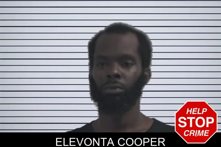 Elevonta Cooper mugshot – McDuffie County , Georgia Elevonta Cooper