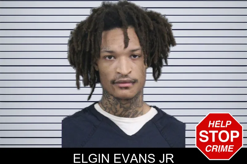 Elgin Evans Jr mugshot