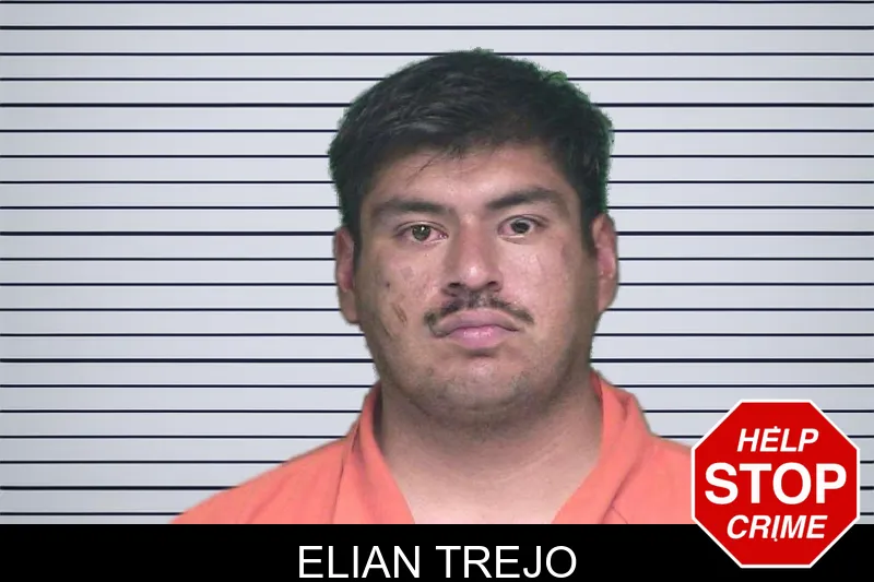 Elian Trejo mugshot – Appling County , Georgia Elian Trejo mugshot