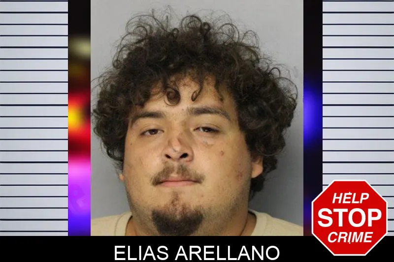 Elias Arellano mugshot – Hall County , Georgia Elias Arellano mugshot