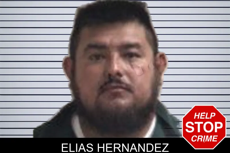 Elias Hernandez mugshot