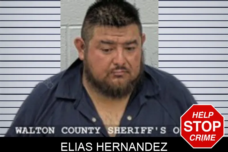 Elias Hernandez mugshot – Walton County , Georgia Elias Hernandez mugshot