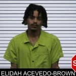 Elidah Acevedo-Brown mugshot
