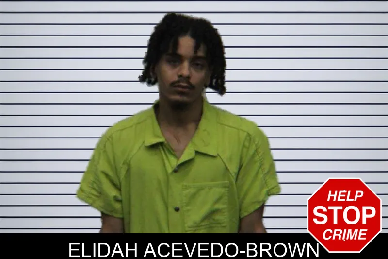 Elidah Acevedo-Brown mugshot – Turner County , Georgia Elidah Acevedo-Brown mugshot
