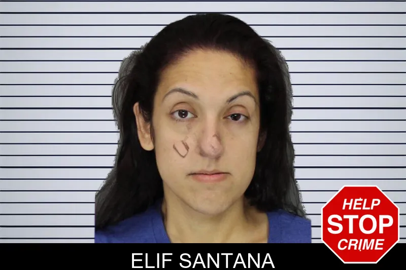 Elif Santana mugshot – Cobb County , Georgia Elif Santana mugshot