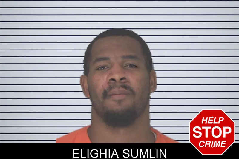 Elighia Sumlin mugshot – Douglas County , Georgia Elighia Sumlin mugshot