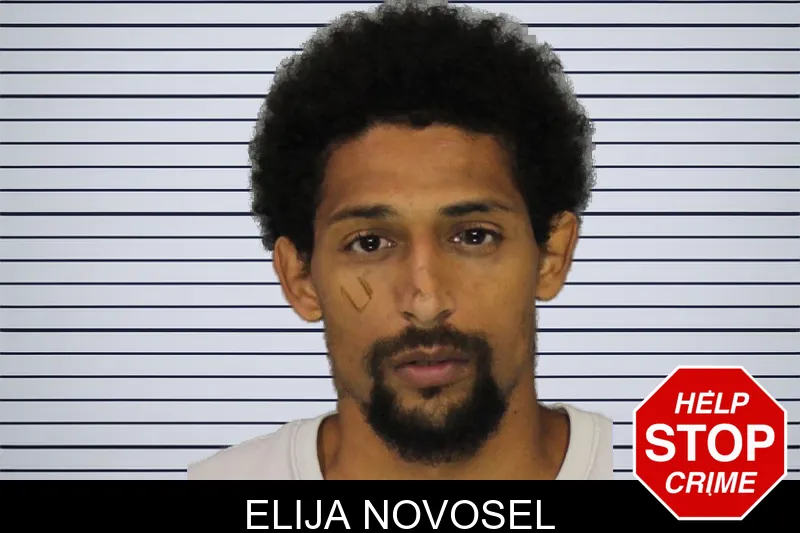 Elija Novosel mugshot – Cobb County , Georgia Elija Novosel mugshot