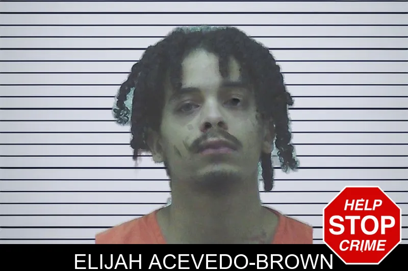 Elijah Acevedo-Brown mugshot