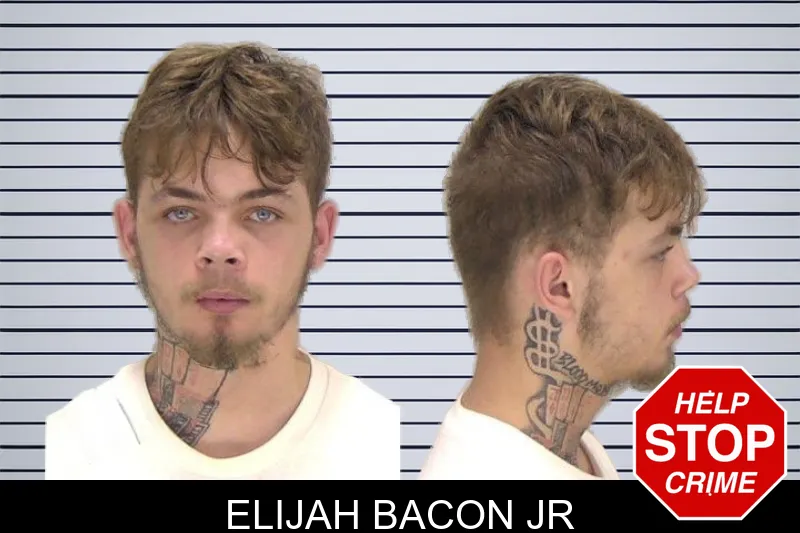 Elijah Bacon Jr mugshot