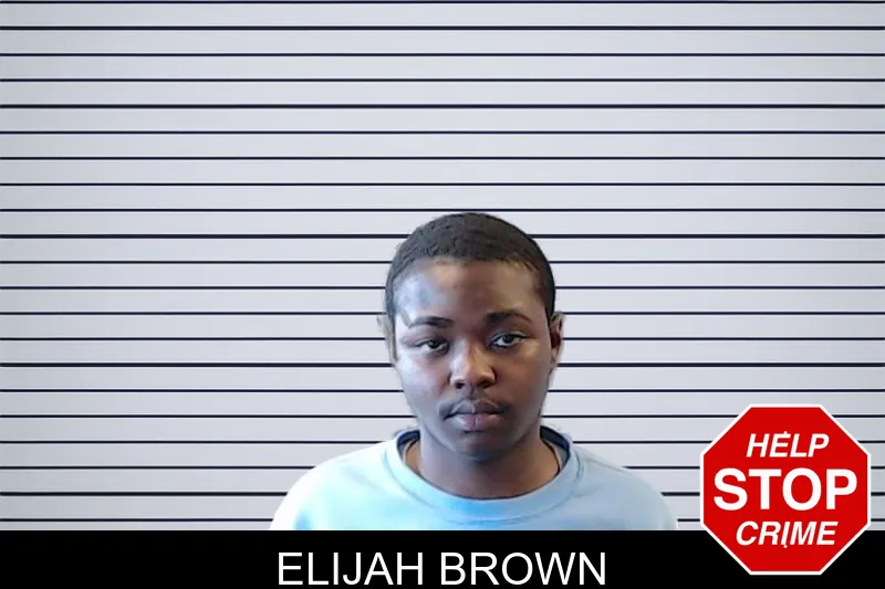 Elijah Brown mugshot – DeKalb County , Georgia Elijah Brown mugshot