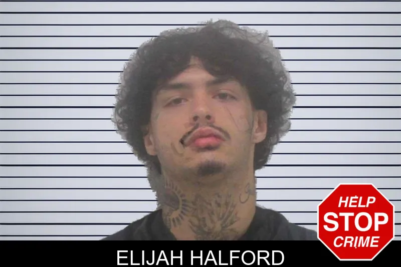 Elijah Halford mugshot – Carroll County , Georgia Elijah Halford mugshot