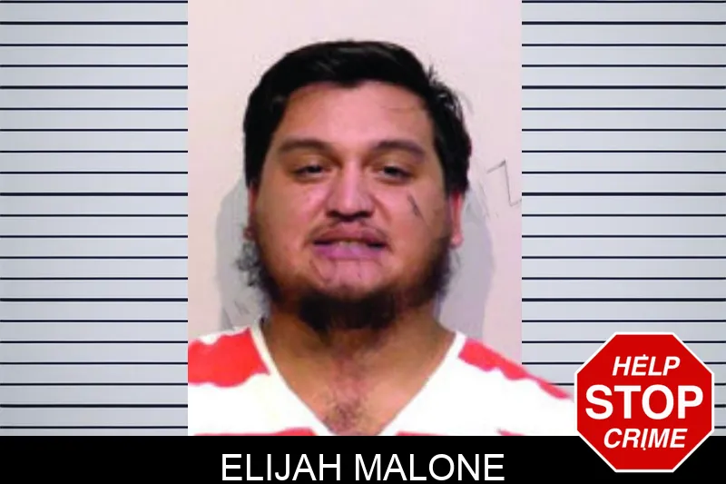 Elijah Malone mugshot – Bartow County , Georgia Elijah Malone mugshot