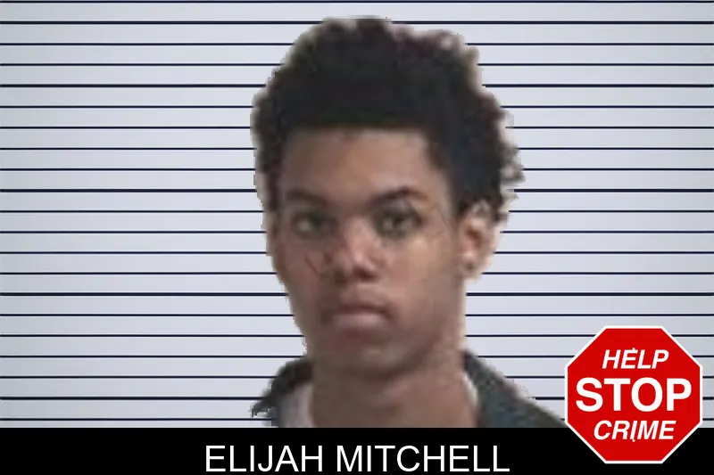 Elijah Mitchell mugshot – Henry County , Georgia Elijah Mitchell mugshot