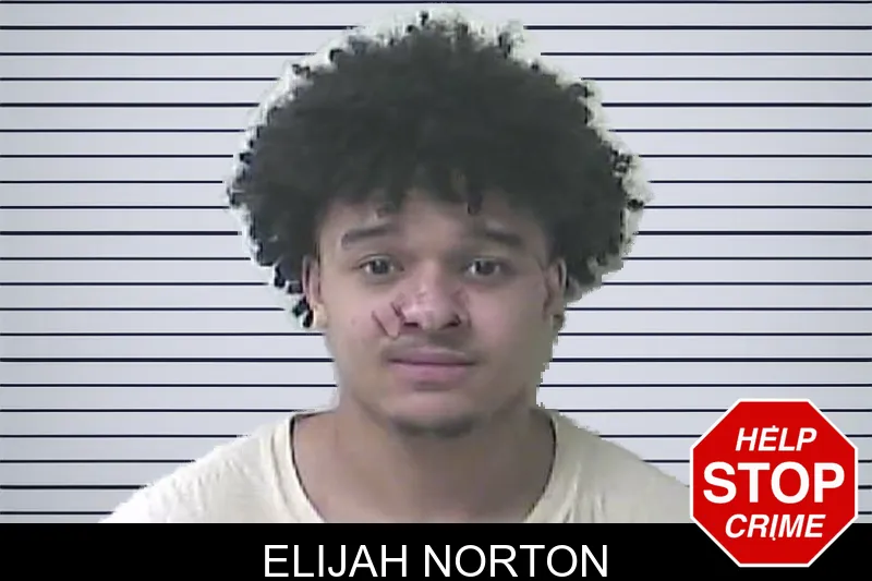 Elijah Norton mugshot – Oconee County , Georgia Elijah Norton mugshot