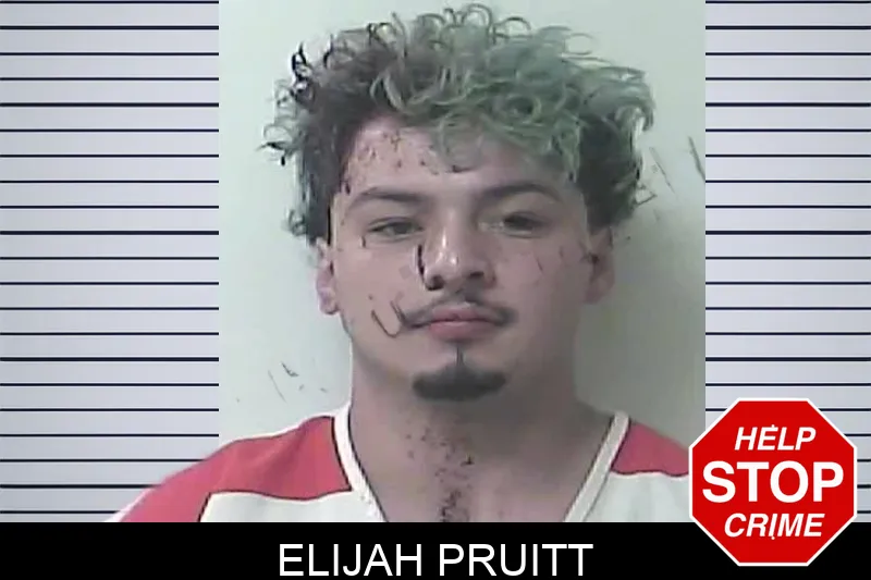 Elijah Pruitt mugshot – Oconee County , Georgia Elijah Pruitt mugshot