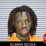 Eliman Secka mugshot