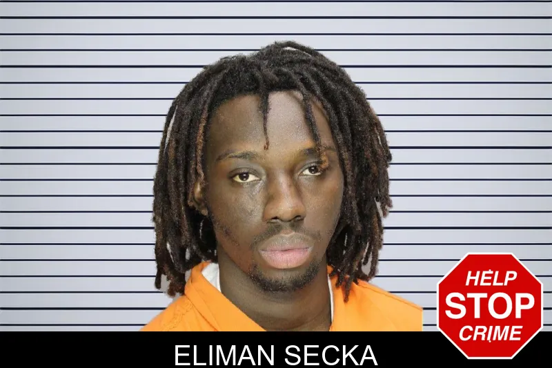 Eliman Secka mugshot