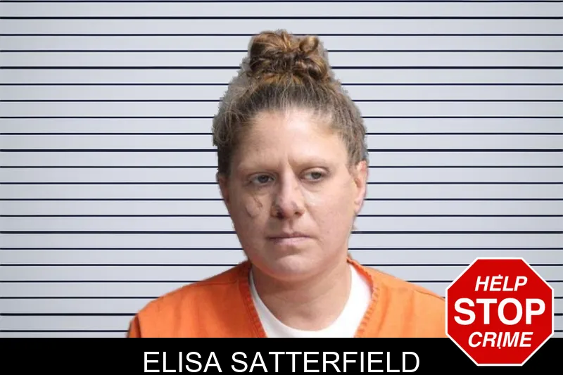 Elisa Satterfield mugshot – Crisp County , Georgia Elisa Satterfield mugshot